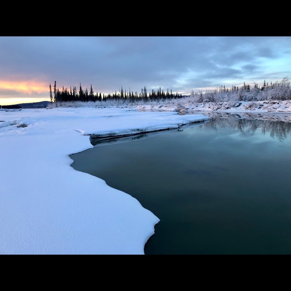 Meet your Posher, Posh - Picture 9 of 9